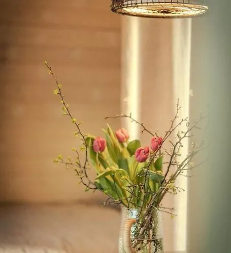 Visnovka - Maringotka Uprostred Prirody U Kutne Hory * 库特纳霍拉